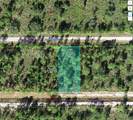 0 Oleander Drive - Photo 2