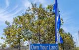 102 Newcastle Boulevard - Photo 4