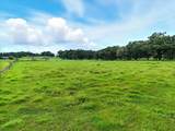 39410 Sparkman Road - Photo 8