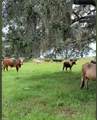 320 Grigsby Road - Photo 20