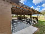 203 Boyer Street - Photo 14