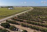 8961 County Road 17 - Photo 4