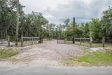 2941 Rawls Road - Photo 5