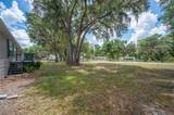 4817 Indian Oak Drive - Photo 3