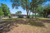 4817 Indian Oak Drive - Photo 8