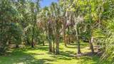 273 Griffin Road - Photo 38
