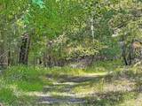 273 Griffin Road - Photo 41