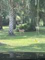 273 Griffin Road - Photo 6