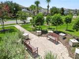 8775 Sentiero Drive - Photo 73