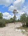  0 WOODSTORK Way - Photo 5