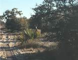 5525 Sparta Road - Photo 18