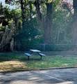 1103 Cypress Gardens Boulevard - Photo 13