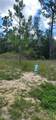 10339 G Martinelli Boulevard - Photo 11
