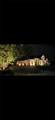 2310 Nevada Road - Photo 81
