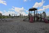 5507 Freesia Drive - Photo 58