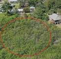 0 Lemon Bay Drive - Photo 11