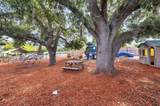220 Mccall Road - Photo 10