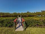 141 Rarotonga Road - Photo 43