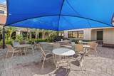 2539 Brassica Drive - Photo 45
