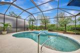 5561 White Ibis Drive - Photo 53