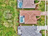 5561 White Ibis Drive - Photo 59