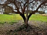 LOT 62&63 Hernando Road - Photo 1