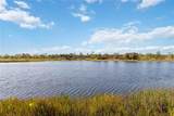 10797 Tarflower Drive - Photo 41