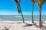 919 Key Way - Photo 7