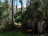  Boyd Avenue - Photo 5