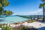 3816 Royal Palm Drive - Photo 47