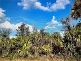 347 Lawler Street - Photo 1