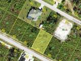 13436 Alocasia Lane - Photo 1