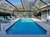 181 King Palm Court - Photo 35