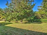 181 King Palm Court - Photo 44