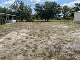 5230 Palena Boulevard - Photo 10