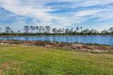 10475 Medjool Drive - Photo 50