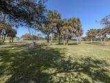 2139 Calusa Lakes Boulevard - Photo 31