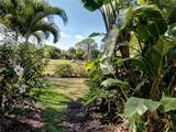 311 Lansbrook Drive - Photo 49