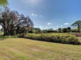 311 Lansbrook Drive - Photo 56