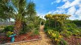 1514 Pamela Street - Photo 68