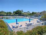 650 Bird Bay Drive - Photo 39