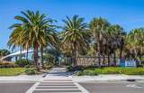 862 Bird Bay Way - Photo 45