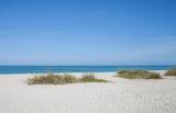 862 Bird Bay Way - Photo 48