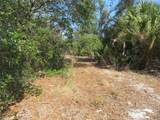 6186 Herb Street - Photo 3