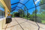 10363 Medjool Drive - Photo 57