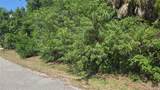  Rolla Road - Photo 3