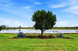 10474 Medjool Drive - Photo 12