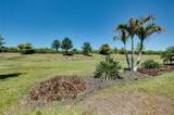 24113 Spartina Drive - Photo 59
