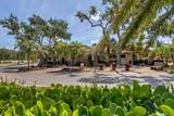 445 Tomoka Drive - Photo 44