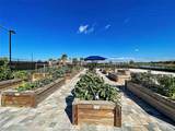 13825 Karina Street - Photo 60